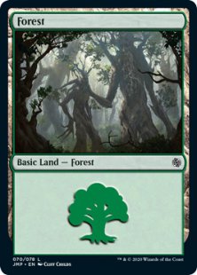 Forest (tree hugging)